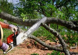 Best Lawn Mowing  in Tolar, TX